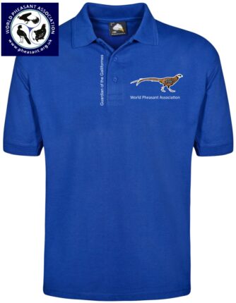 Polo Shirt Front And Back